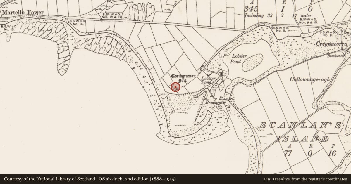 Ordnance Survey six-inch map, 2nd edition (1888–1915) covering the location of Ringfort - cashel, Rine, County Clare, with a pin at the register's coordinates