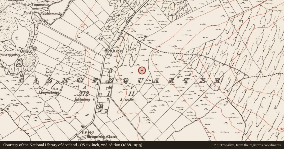 Ordnance Survey six-inch map, 2nd edition (1888–1915) covering the location of Enclosure, Bishopsquarter, County Clare, with a pin at the register's coordinates