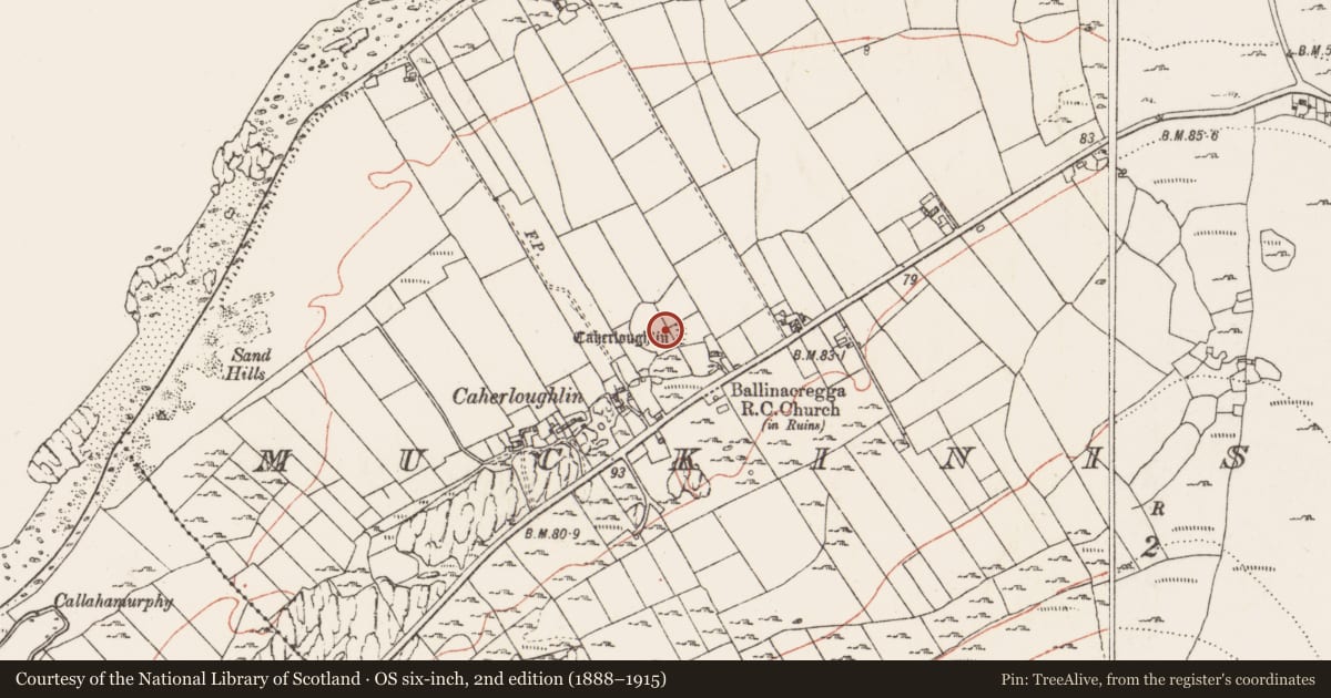 Ordnance Survey six-inch map, 2nd edition (1888–1915) covering the location of House - indeterminate date, Muckinish West, County Clare, with a pin at the register's coordinates