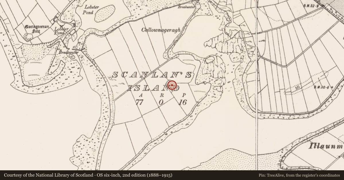 Ordnance Survey six-inch map, 2nd edition (1888–1915) covering the location of Ringfort - cashel, Scanlan'S Island, County Clare, with a pin at the register's coordinates