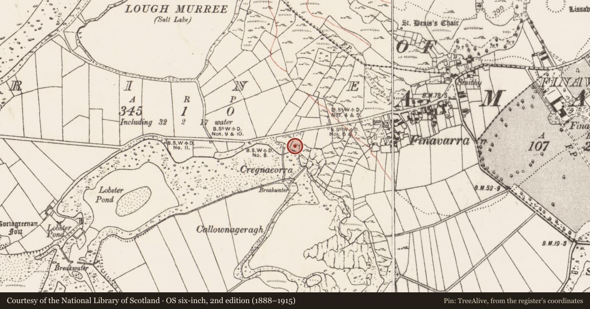 Ordnance Survey six-inch map, 2nd edition (1888–1915) covering the location of Enclosure, Rine, County Clare, with a pin at the register's coordinates