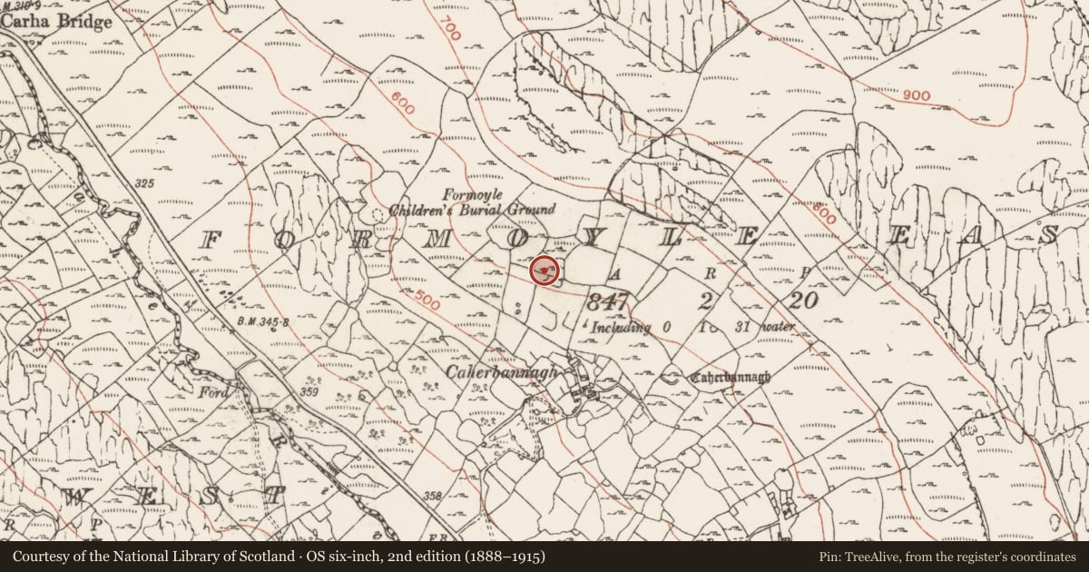 Ordnance Survey six-inch map, 2nd edition (1888–1915) covering the location of Ringfort - cashel, Formoyle East, County Clare, with a pin at the register's coordinates