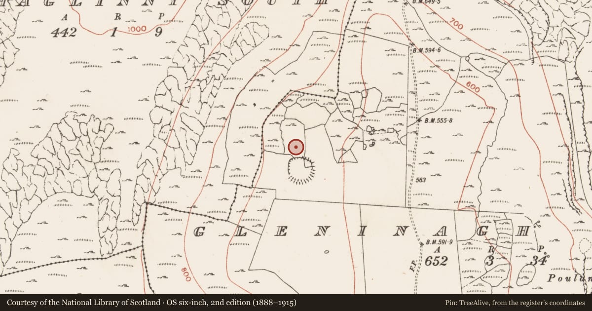 Ordnance Survey six-inch map, 2nd edition (1888–1915) covering the location of Field system, Aghaglinny South, Gleninagh South, County Clare, with a pin at the register's coordinates