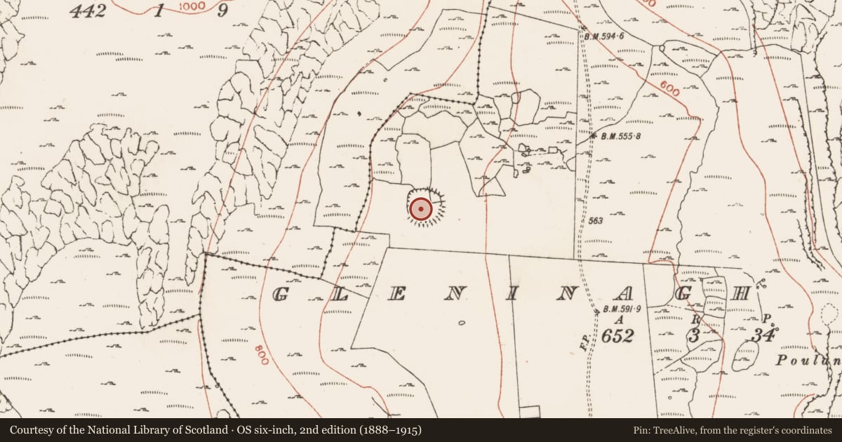 Ordnance Survey six-inch map, 2nd edition (1888–1915) covering the location of Ringfort - cashel, Gleninagh South, County Clare, with a pin at the register's coordinates