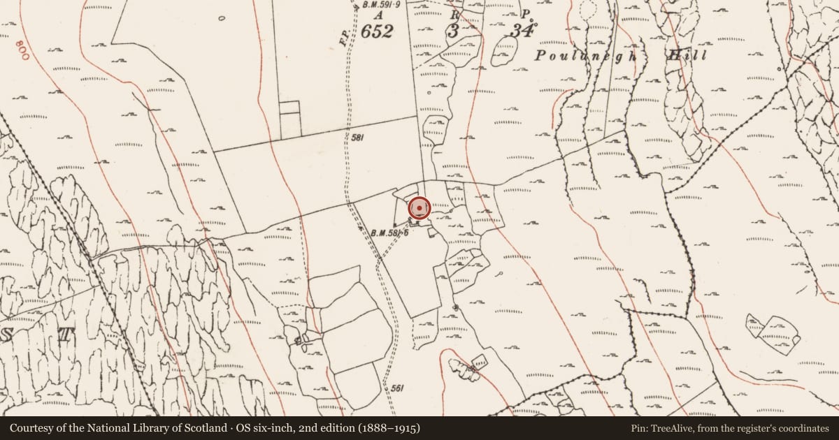 Ordnance Survey six-inch map, 2nd edition (1888–1915) covering the location of Ringfort - cashel, Gleninagh South, County Clare, with a pin at the register's coordinates