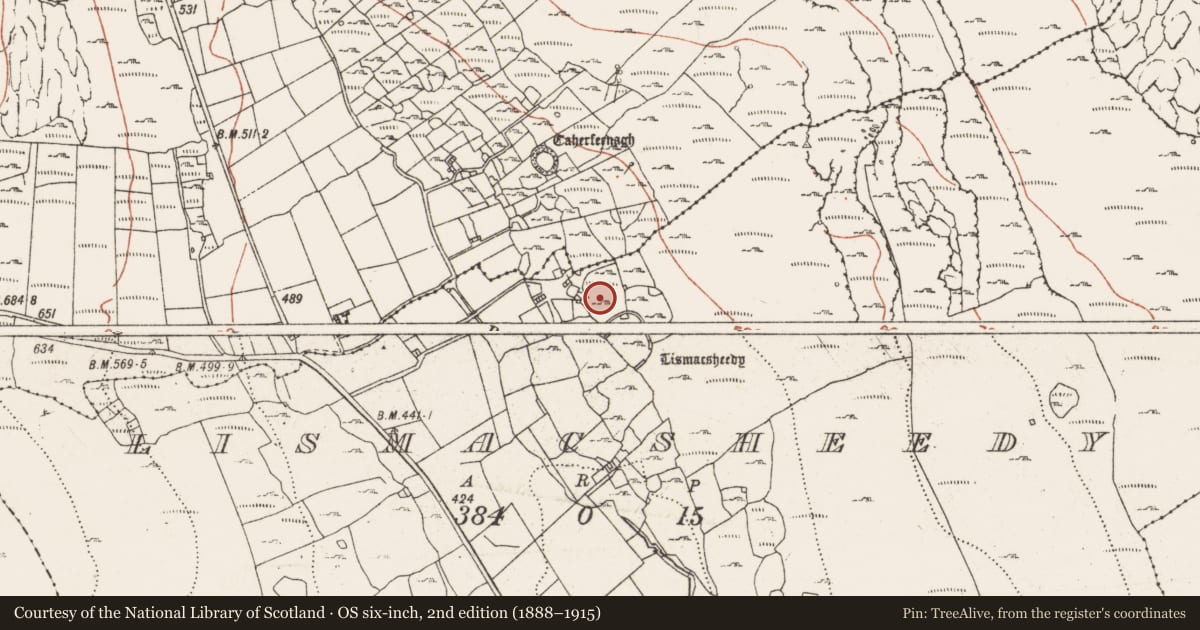 Ordnance Survey six-inch map, 2nd edition (1888–1915) covering the location of Field system, County Clare, with a pin at the register's coordinates