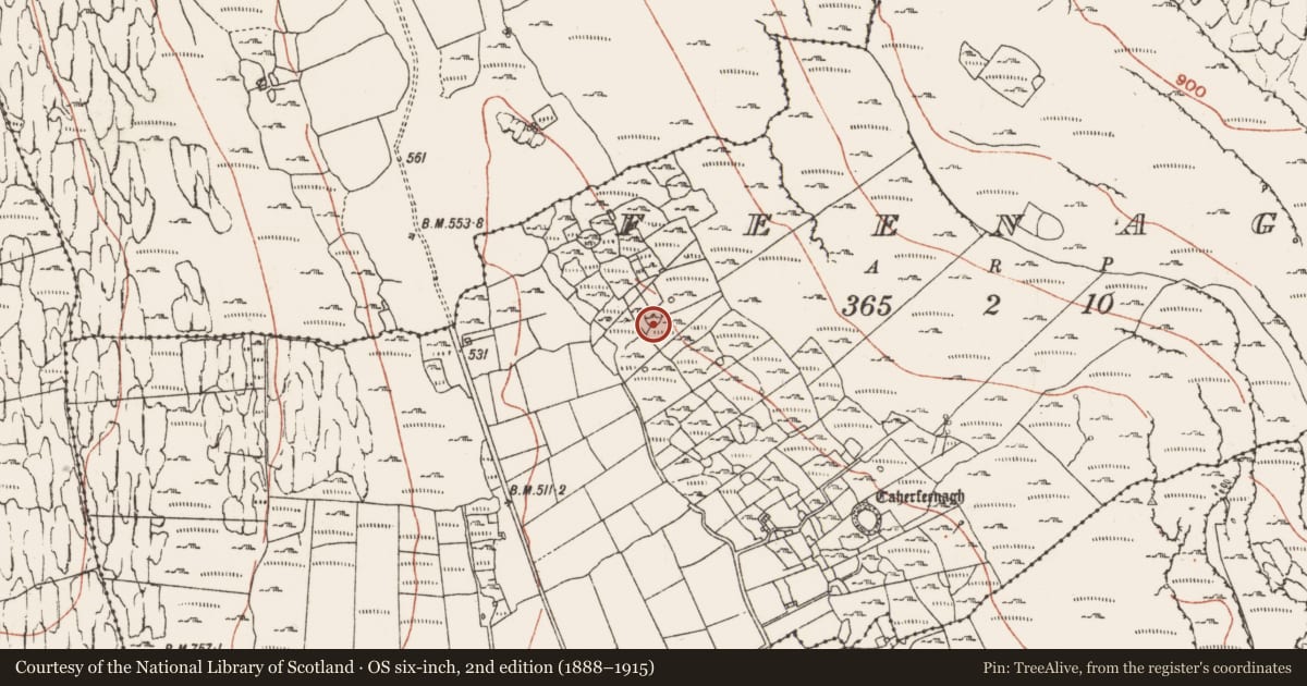 Ordnance Survey six-inch map, 2nd edition (1888–1915) covering the location of Ringfort - cashel, Feenagh, County Clare, with a pin at the register's coordinates