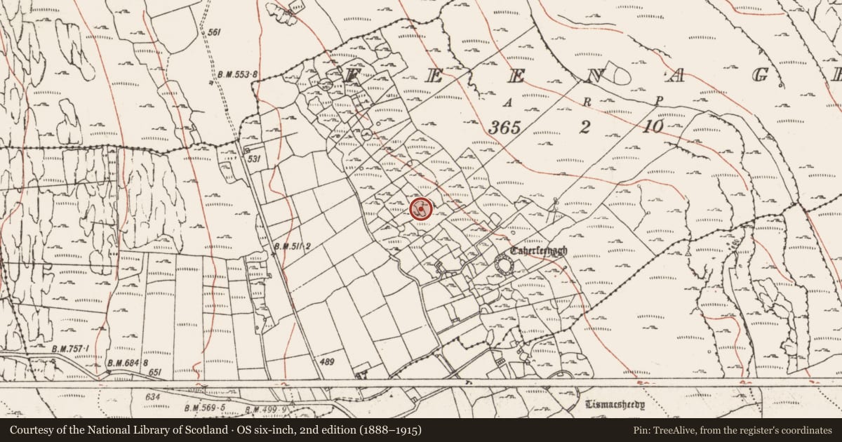 Ordnance Survey six-inch map, 2nd edition (1888–1915) covering the location of Ringfort - cashel, Feenagh, County Clare, with a pin at the register's coordinates