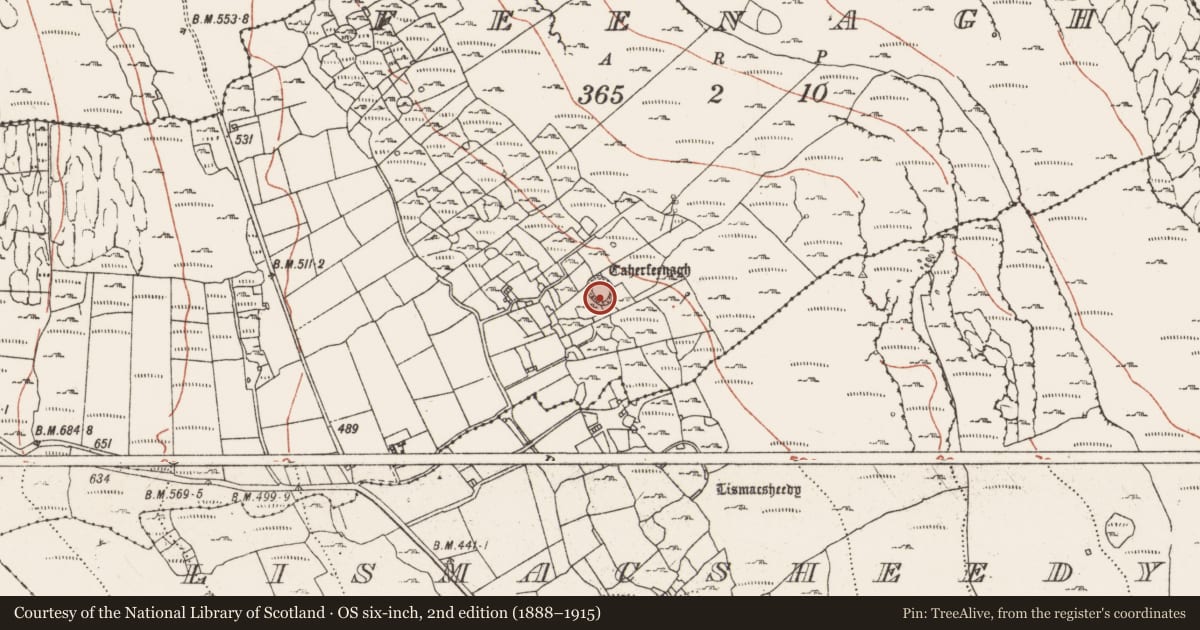 Ordnance Survey six-inch map, 2nd edition (1888–1915) covering the location of Ringfort - cashel, Feenagh, County Clare, with a pin at the register's coordinates