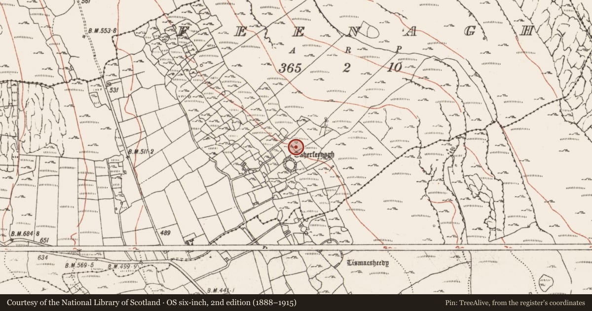 Ordnance Survey six-inch map, 2nd edition (1888–1915) covering the location of Hut site, Feenagh, County Clare, with a pin at the register's coordinates