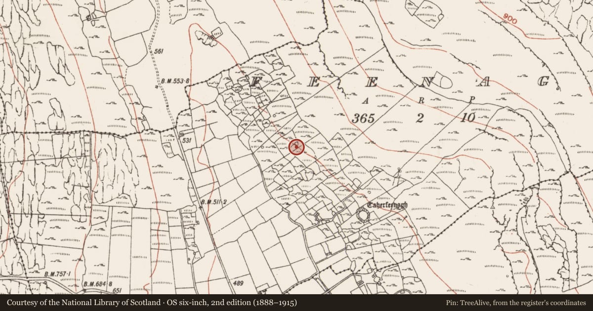 Ordnance Survey six-inch map, 2nd edition (1888–1915) covering the location of Hut site, Lismacsheedy, County Clare, with a pin at the register's coordinates