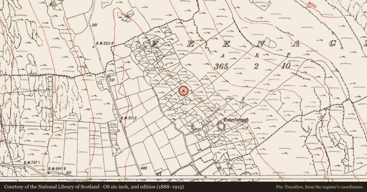 Ordnance Survey six-inch map, 2nd edition (1888–1915) covering the location of Hut site, Lismacsheedy, County Clare, with a pin at the register's coordinates