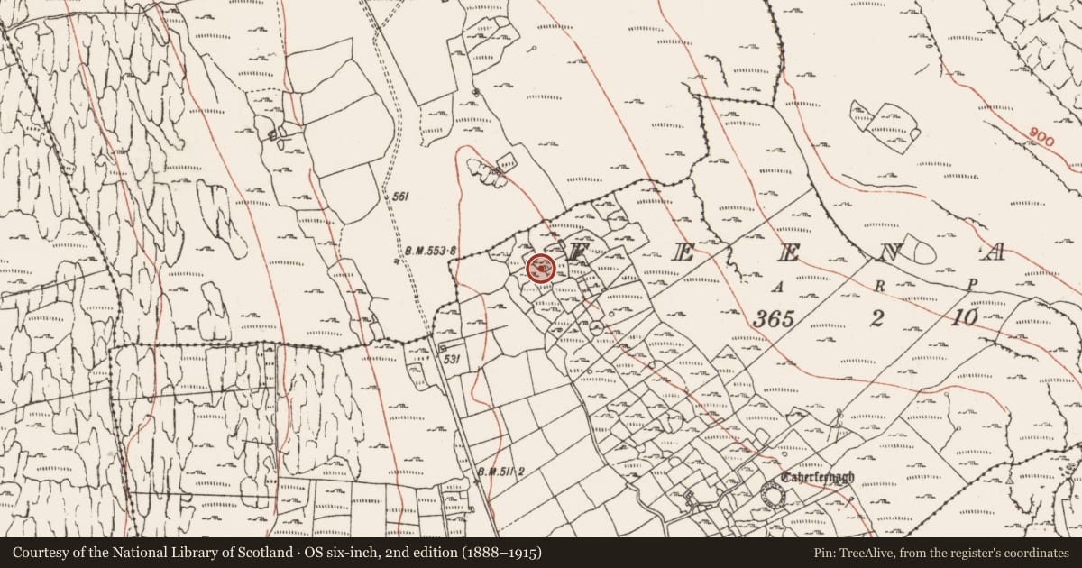 Ordnance Survey six-inch map, 2nd edition (1888–1915) covering the location of Ringfort - cashel, Lismacsheedy, County Clare, with a pin at the register's coordinates