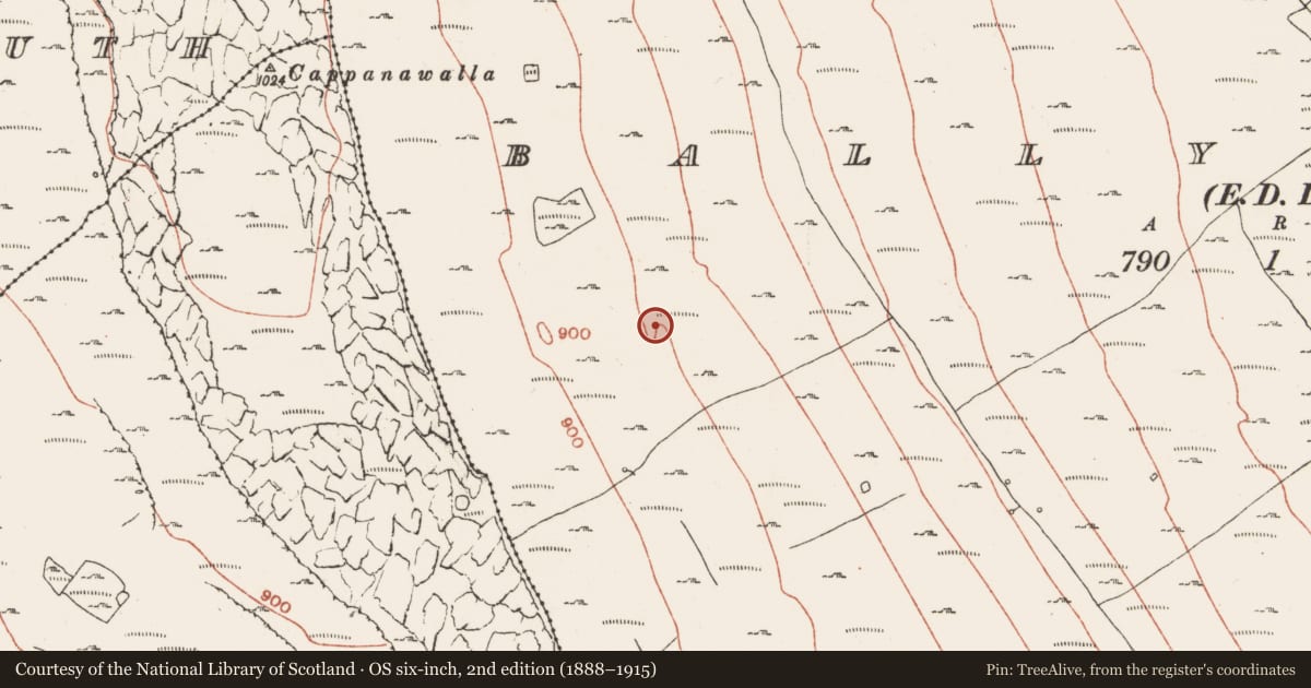Ordnance Survey six-inch map, 2nd edition (1888–1915) covering the location of Field system, Ballyconry, County Clare, with a pin at the register's coordinates