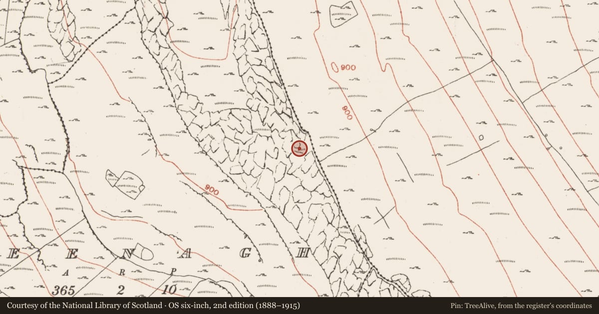 Ordnance Survey six-inch map, 2nd edition (1888–1915) covering the location of Enclosure, Feenagh, County Clare, with a pin at the register's coordinates