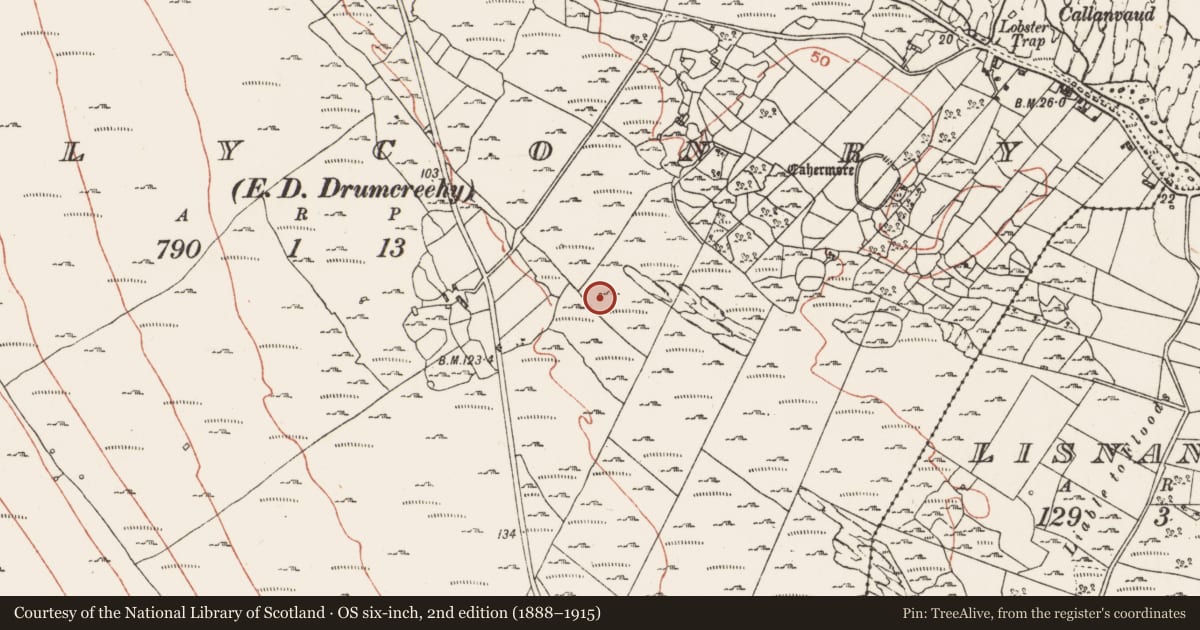 Ordnance Survey six-inch map, 2nd edition (1888–1915) covering the location of Enclosure, Ballyconry, County Clare, with a pin at the register's coordinates