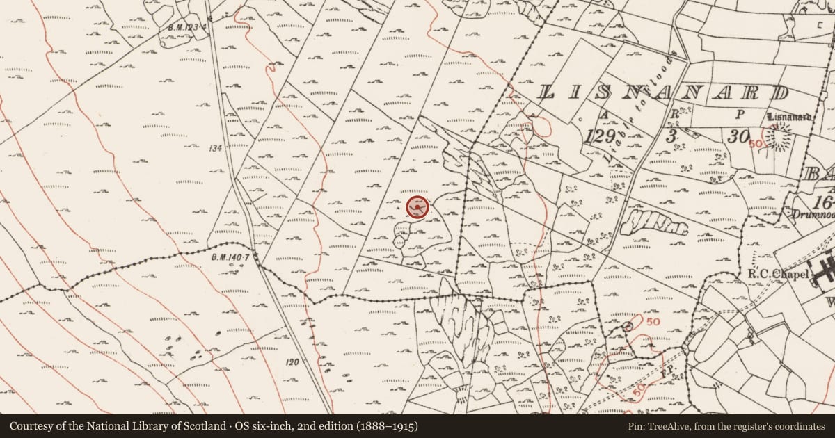 Ordnance Survey six-inch map, 2nd edition (1888–1915) covering the location of Field system, Ballyconry, County Clare, with a pin at the register's coordinates