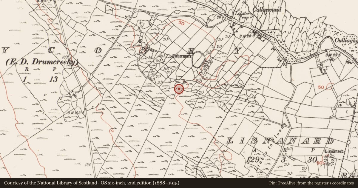 Ordnance Survey six-inch map, 2nd edition (1888–1915) covering the location of Enclosure, Ballyconry, County Clare, with a pin at the register's coordinates
