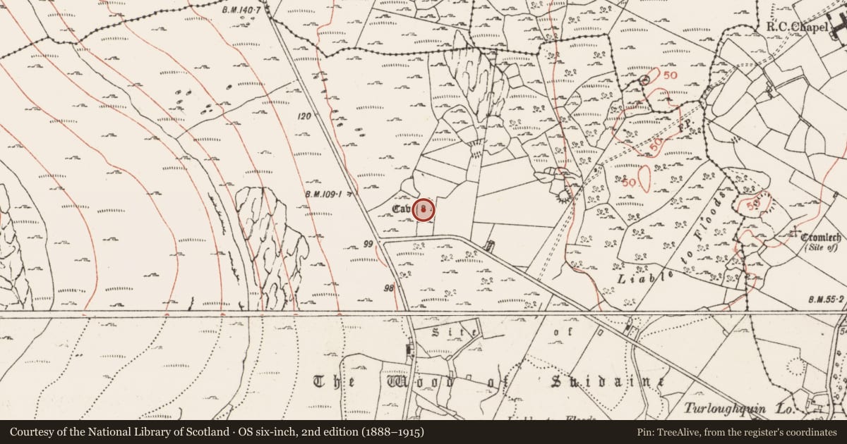 Ordnance Survey six-inch map, 2nd edition (1888–1915) covering the location of Souterrain, Newtown, County Clare, with a pin at the register's coordinates