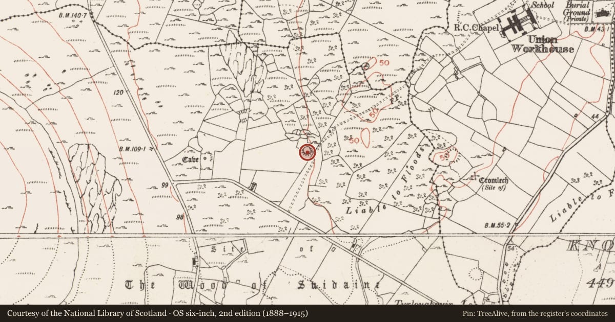 Ordnance Survey six-inch map, 2nd edition (1888–1915) covering the location of Enclosure, Newtown, County Clare, with a pin at the register's coordinates