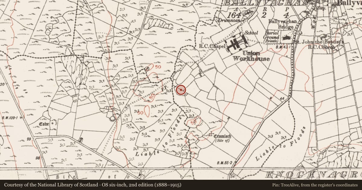 Ordnance Survey six-inch map, 2nd edition (1888–1915) covering the location of Enclosure, Ballyvaghan, County Clare, with a pin at the register's coordinates