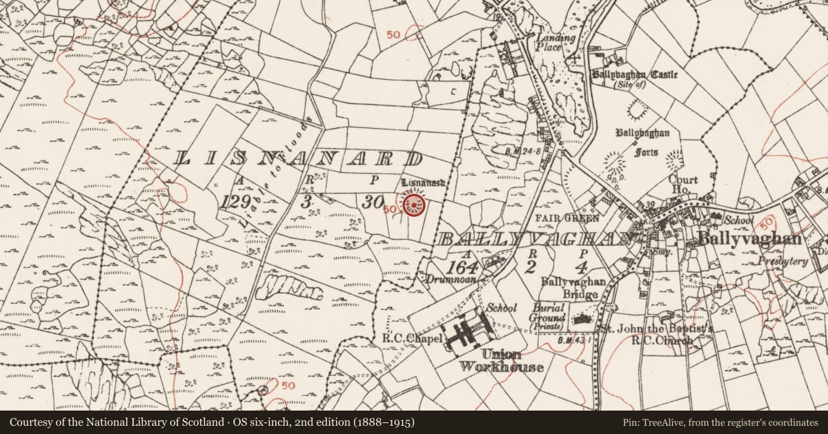 Ordnance Survey six-inch map, 2nd edition (1888–1915) covering the location of Ringfort - cashel, Lisnanard, County Clare, with a pin at the register's coordinates