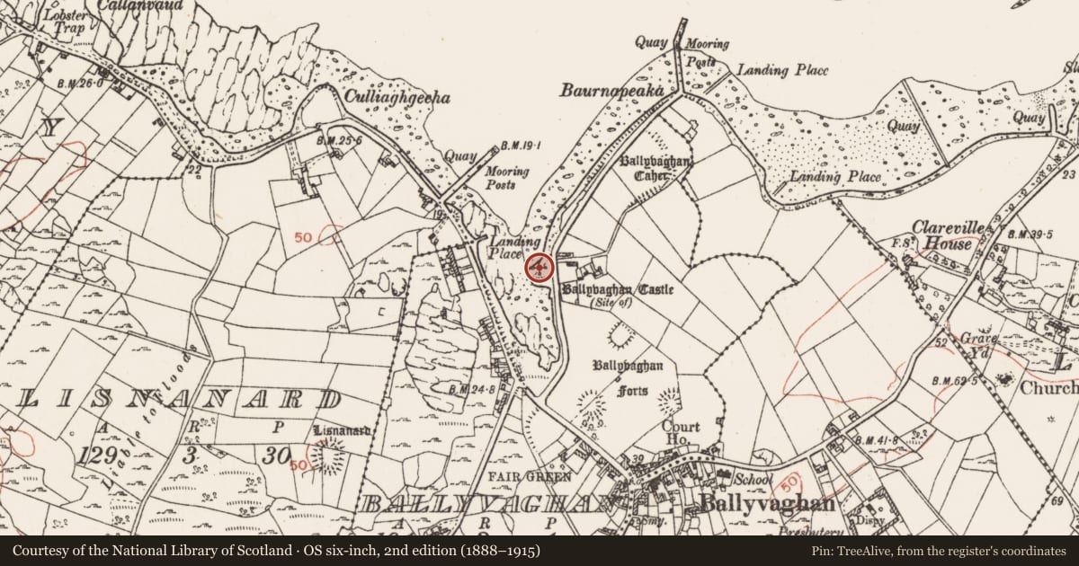 Ordnance Survey six-inch map, 2nd edition (1888–1915) covering the location of Castle - unclassified, Ballyvaghan, County Clare, with a pin at the register's coordinates