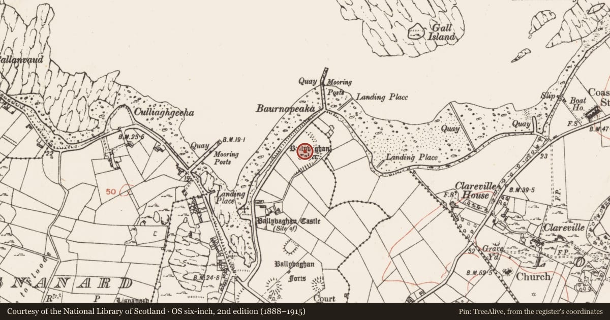 Ordnance Survey six-inch map, 2nd edition (1888–1915) covering the location of Ringfort - cashel, Ballyvaghan, County Clare, with a pin at the register's coordinates