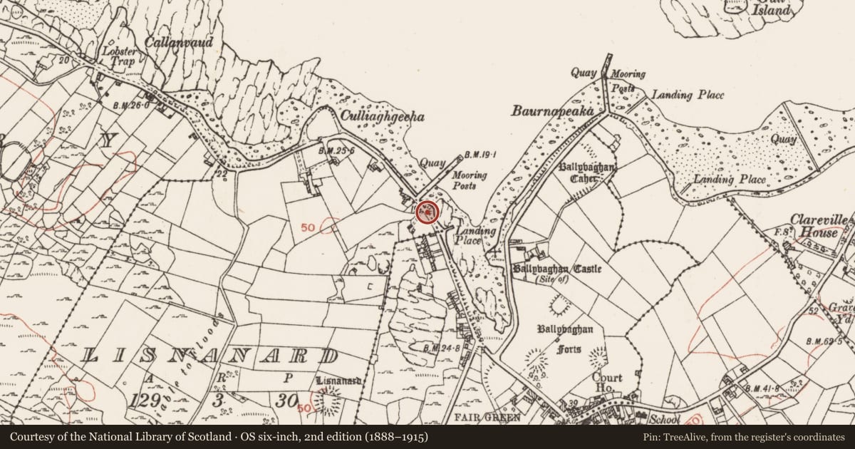 Ordnance Survey six-inch map, 2nd edition (1888–1915) covering the location of Quay, Lisnanard, County Clare, with a pin at the register's coordinates