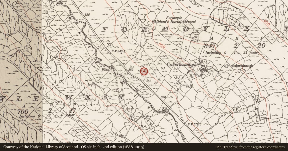 Ordnance Survey six-inch map, 2nd edition (1888–1915) covering the location of Bullaun stone, Formoyle East, County Clare, with a pin at the register's coordinates