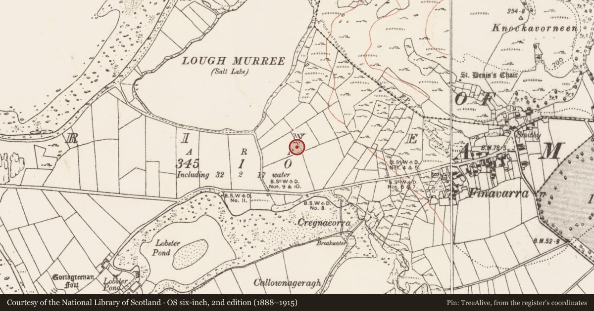 Ordnance Survey six-inch map, 2nd edition (1888–1915) covering the location of Ringfort - rath, Rine, County Clare, with a pin at the register's coordinates