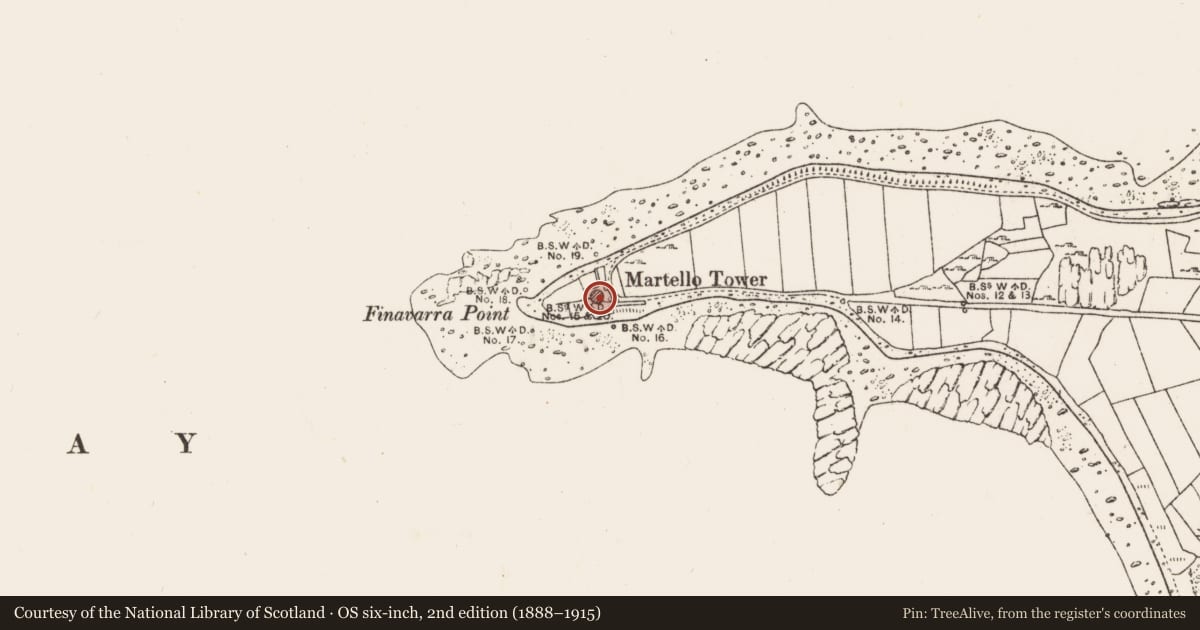 Ordnance Survey six-inch map, 2nd edition (1888–1915) covering the location of Martello tower, Rine, County Clare, with a pin at the register's coordinates