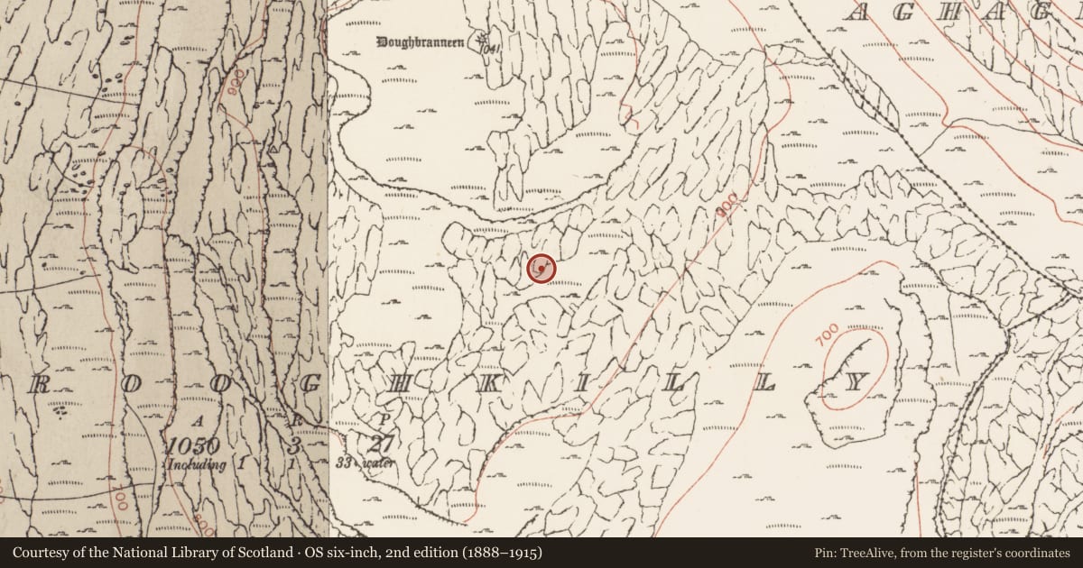 Ordnance Survey six-inch map, 2nd edition (1888–1915) covering the location of Turf stand, Murrooghkilly, County Clare, with a pin at the register's coordinates