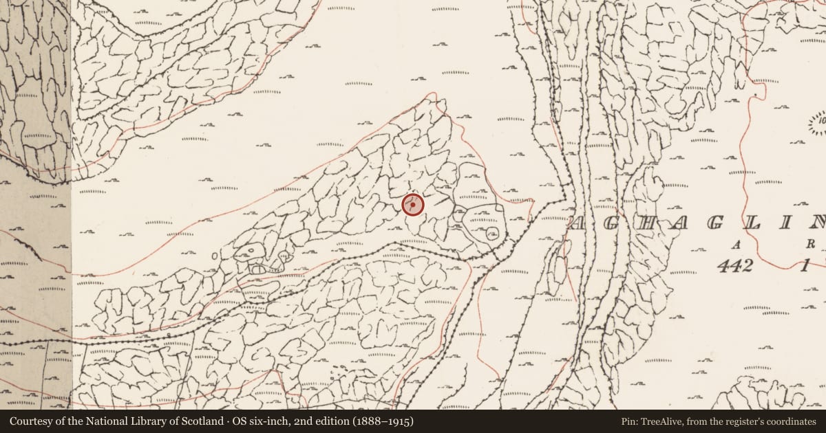 Ordnance Survey six-inch map, 2nd edition (1888–1915) covering the location of House - indeterminate date, Murrooghkilly, County Clare, with a pin at the register's coordinates