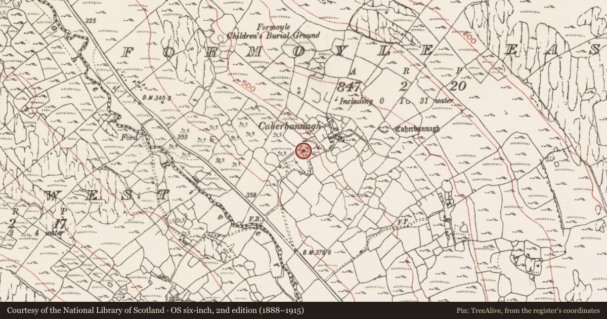 Ordnance Survey six-inch map, 2nd edition (1888–1915) covering the location of Fulacht fia, Formoyle East, County Clare, with a pin at the register's coordinates