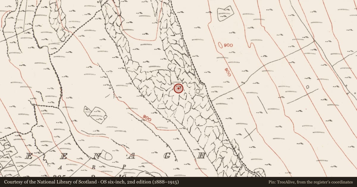 Ordnance Survey six-inch map, 2nd edition (1888–1915) covering the location of Hillfort, County Clare, with a pin at the register's coordinates