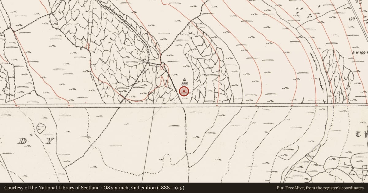 Ordnance Survey six-inch map, 2nd edition (1888–1915) covering the location of Cairn - unclassified, Newtown, County Clare, with a pin at the register's coordinates