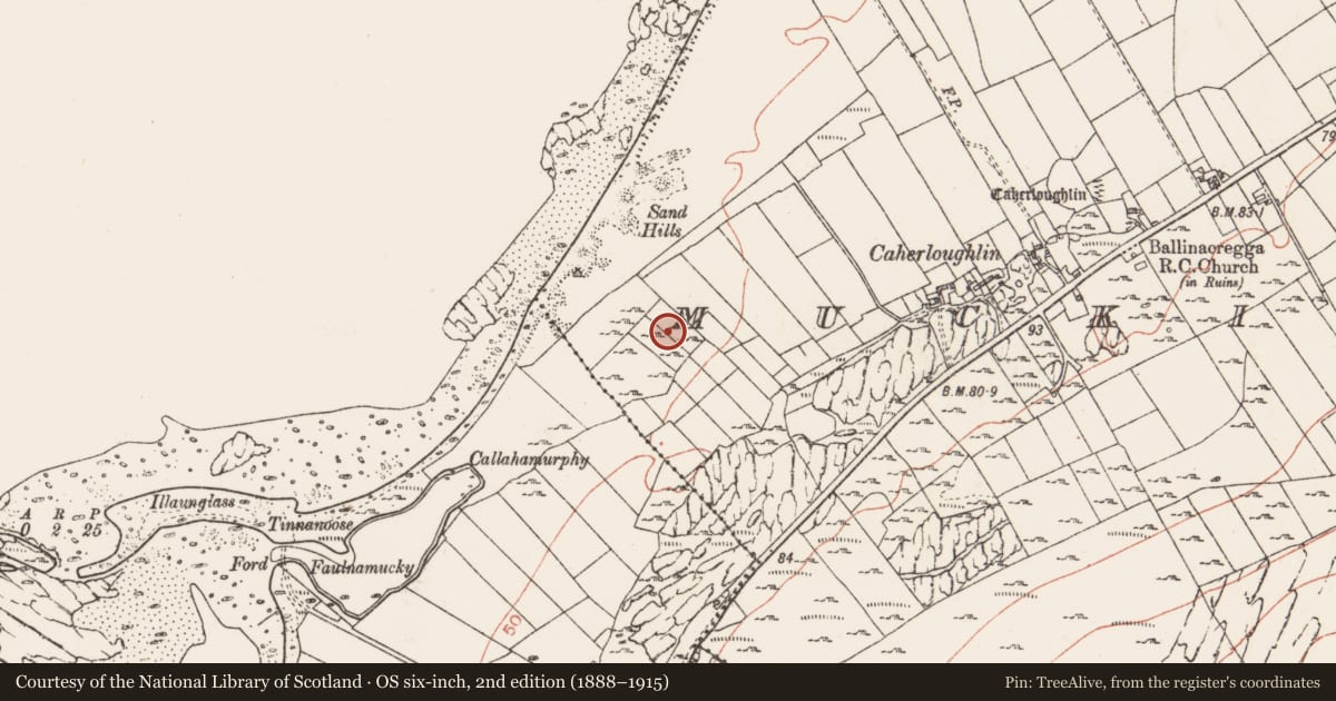 Ordnance Survey six-inch map, 2nd edition (1888–1915) covering the location of Enclosure, Muckinish West, County Clare, with a pin at the register's coordinates