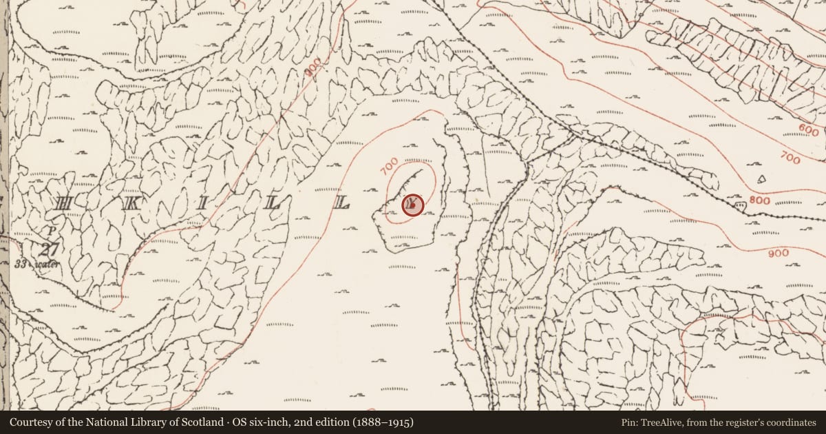Ordnance Survey six-inch map, 2nd edition (1888–1915) covering the location of Enclosure, Murrooghkilly, County Clare, with a pin at the register's coordinates
