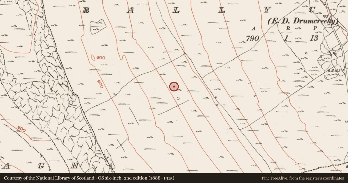 Ordnance Survey six-inch map, 2nd edition (1888–1915) covering the location of Hut site, Ballyconry, County Clare, with a pin at the register's coordinates