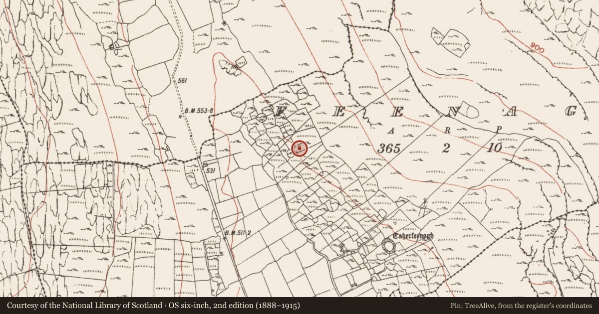 Ordnance Survey six-inch map, 2nd edition (1888–1915) covering the location of Hut site, Feenagh, County Clare, with a pin at the register's coordinates