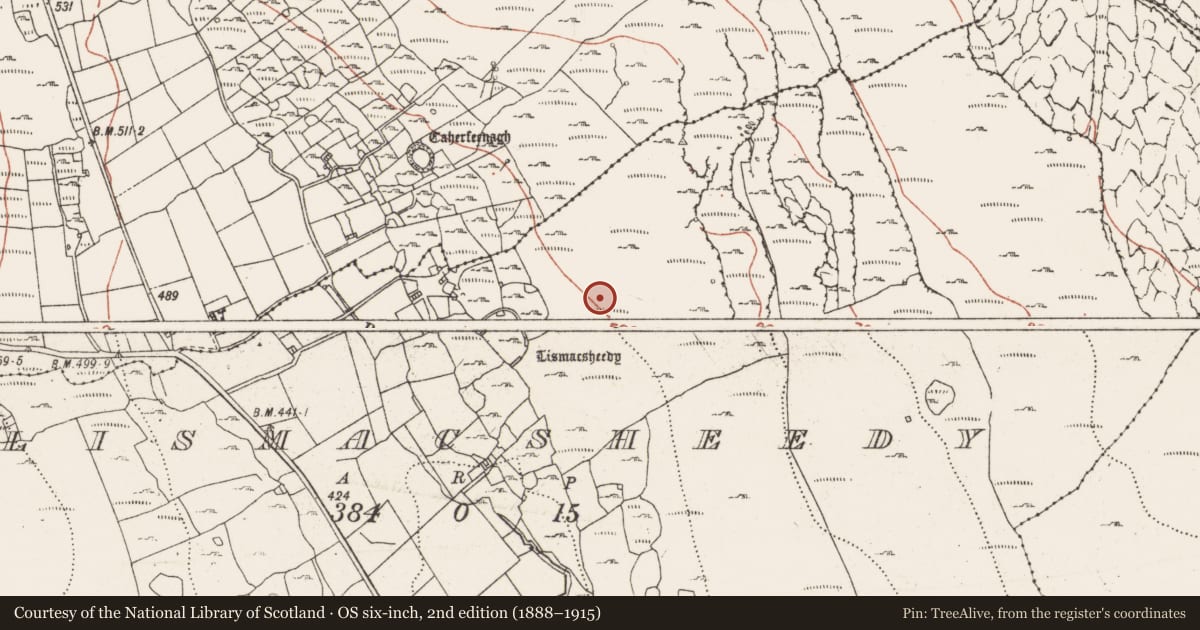 Ordnance Survey six-inch map, 2nd edition (1888–1915) covering the location of Hut site, Lismacsheedy, County Clare, with a pin at the register's coordinates