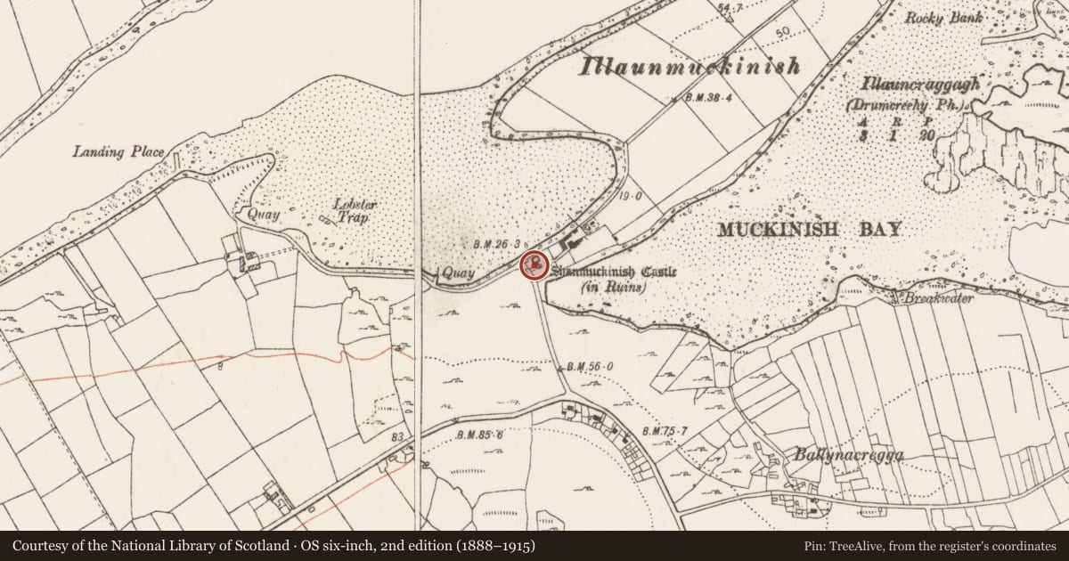 Ordnance Survey six-inch map, 2nd edition (1888–1915) covering the location of Bawn, Muckinish West, County Clare, with a pin at the register's coordinates