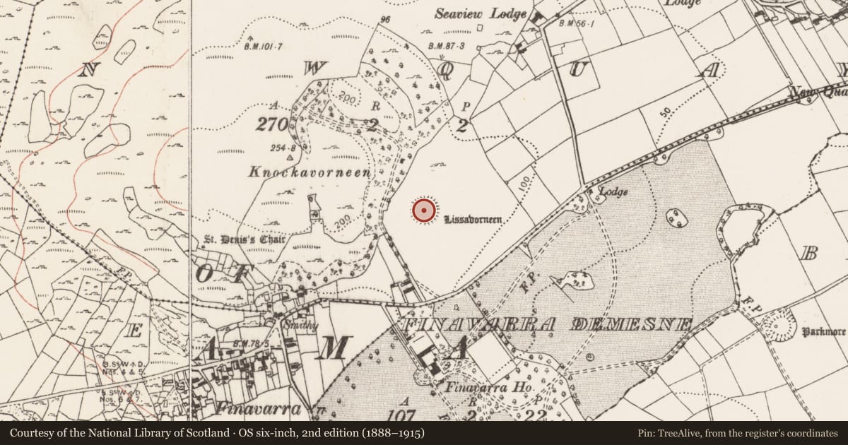 Ordnance Survey six-inch map, 2nd edition (1888–1915) covering the location of Ringfort - rath, Newquay, County Clare, with a pin at the register's coordinates