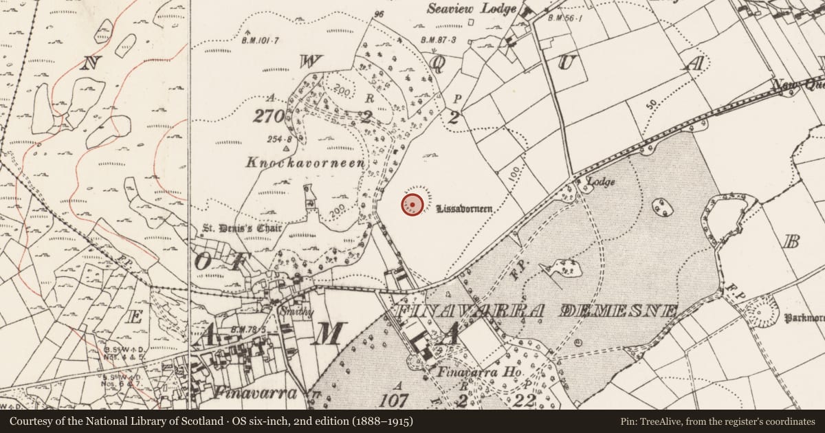 Ordnance Survey six-inch map, 2nd edition (1888–1915) covering the location of Souterrain, Newquay, County Clare, with a pin at the register's coordinates