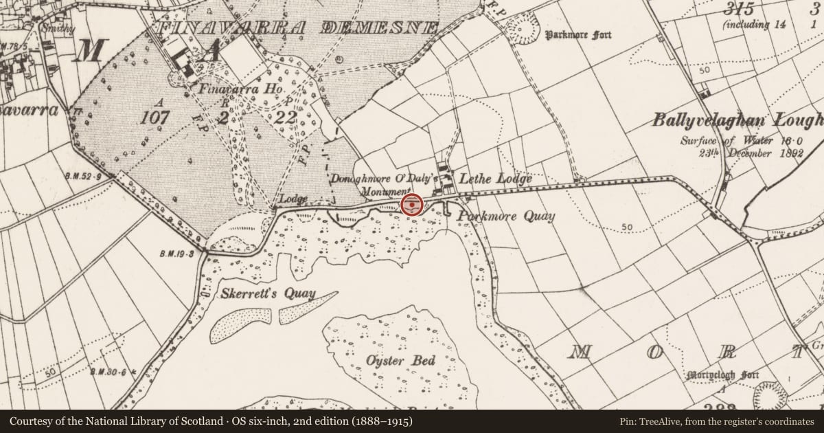 Ordnance Survey six-inch map, 2nd edition (1888–1915) covering the location of Leacht cuimhne, Ballyvelaghan, County Clare, with a pin at the register's coordinates