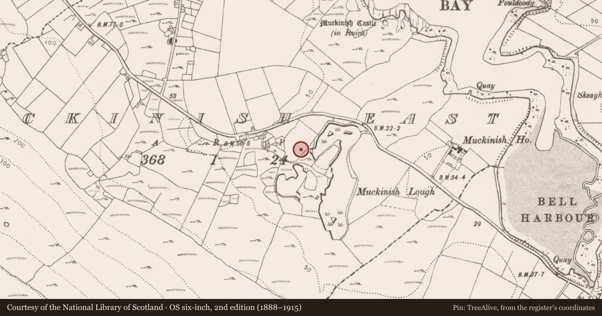 Ordnance Survey six-inch map, 2nd edition (1888–1915) covering the location of Fulacht fia, Muckinish East, County Clare, with a pin at the register's coordinates