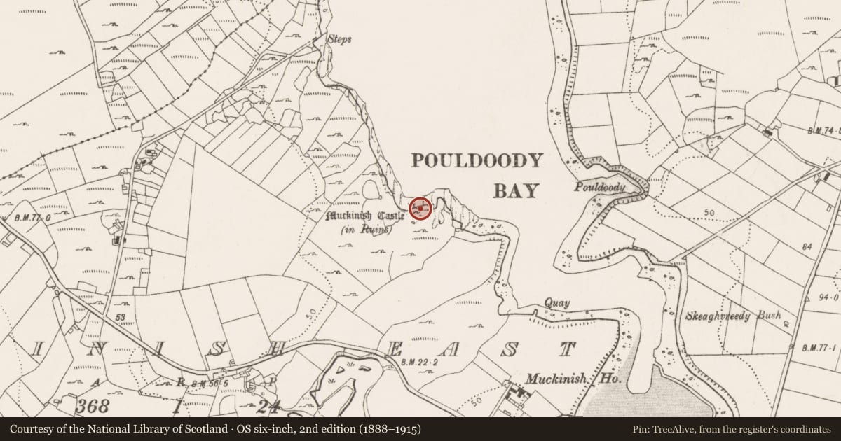 Ordnance Survey six-inch map, 2nd edition (1888–1915) covering the location of Bawn, Muckinish East, County Clare, with a pin at the register's coordinates