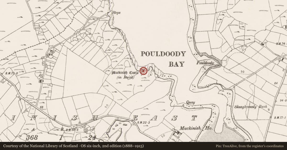 Ordnance Survey six-inch map, 2nd edition (1888–1915) covering the location of House - indeterminate date, Muckinish East, County Clare, with a pin at the register's coordinates