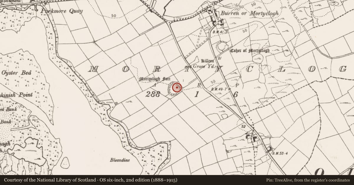 Ordnance Survey six-inch map, 2nd edition (1888–1915) covering the location of Souterrain, Mortyclogh, County Clare, with a pin at the register's coordinates